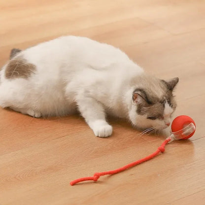 Interactive Rolling Ball